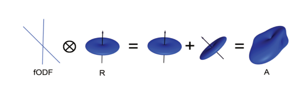 ../_images/00_BasisFunction.png