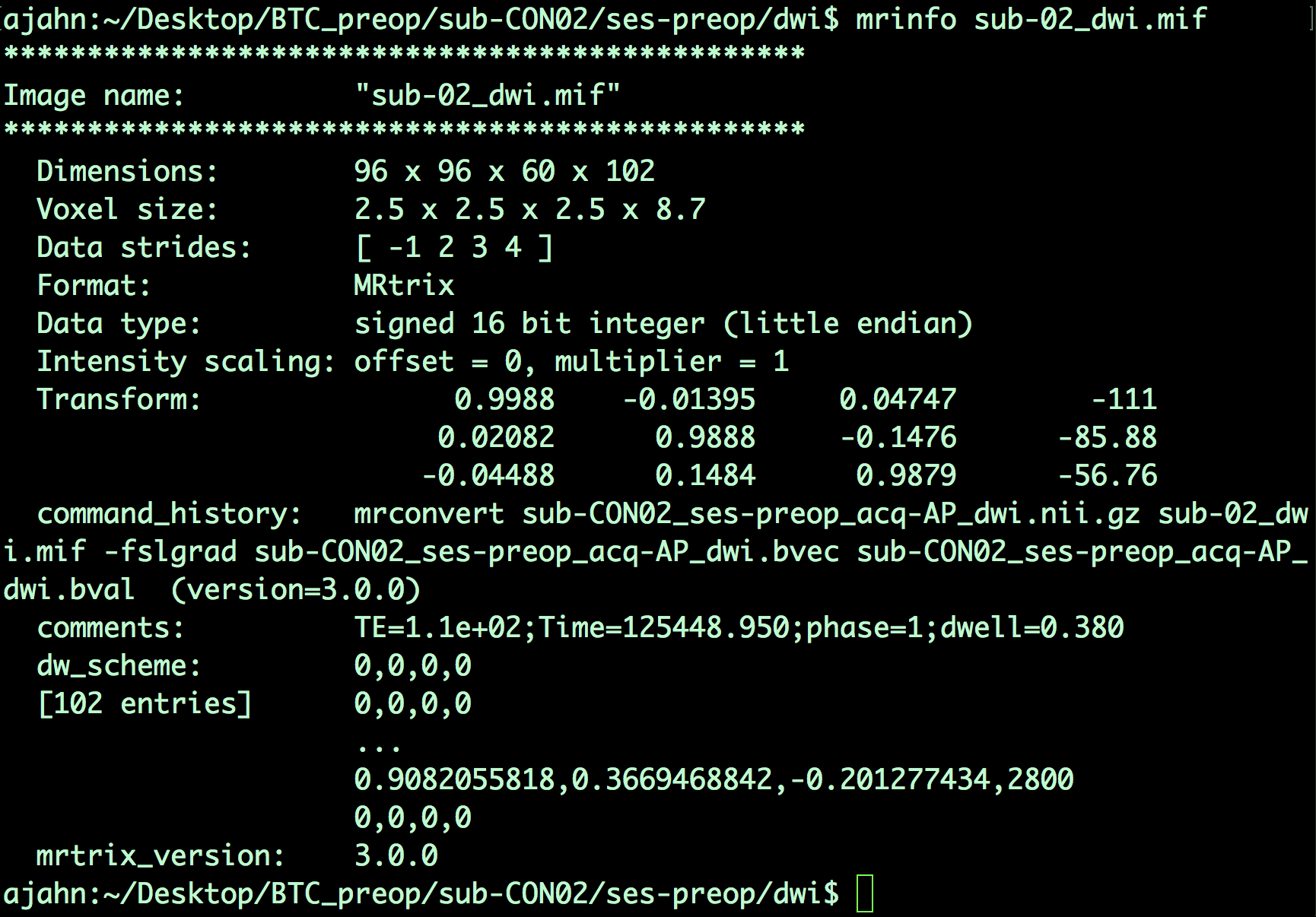 ../_images/03_mrinfo_output.png