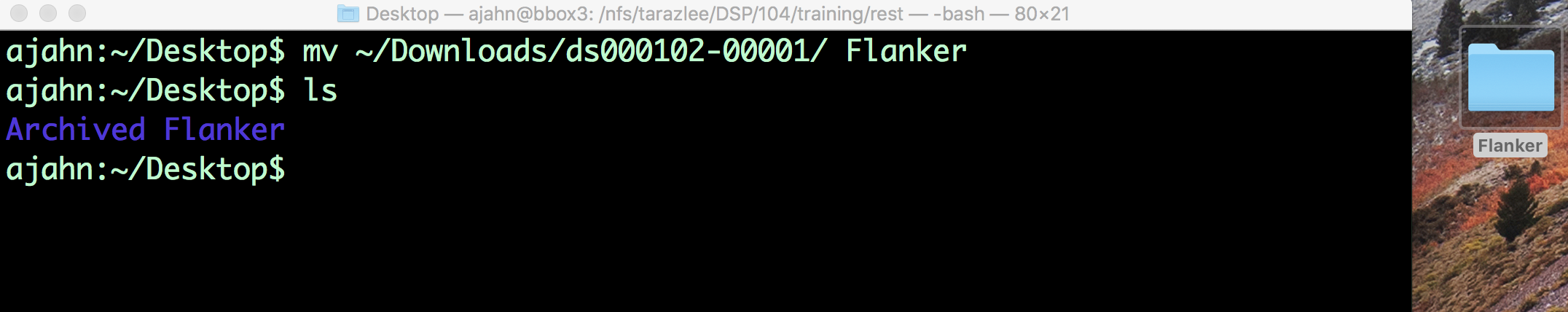 ../_images/Move_Flanker_Folder.png